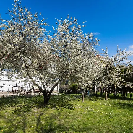 Squash & アパートホテル