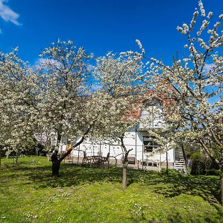 アパートホテル Squash & シオーフォク