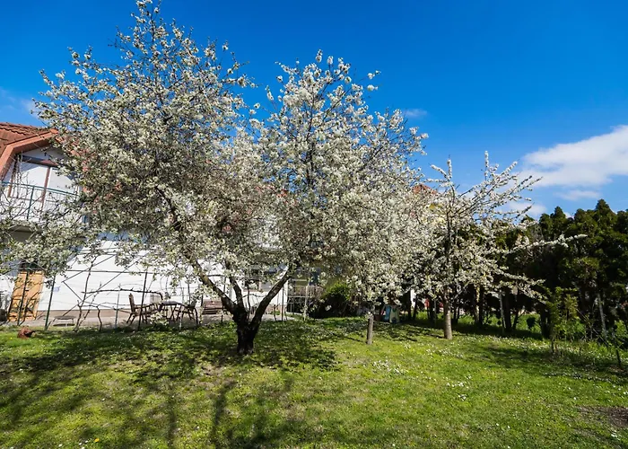 Squash & Hotel de apartamente